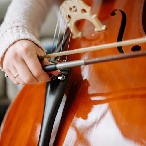 Location violon et violoncelle près de Lyon